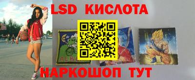 apvp Кингисепп