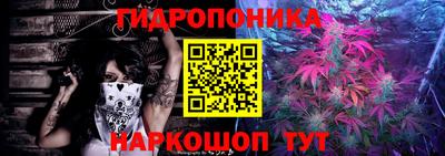 индика Кимры
