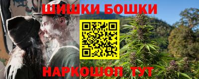 apvp Кингисепп