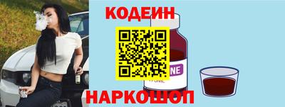 apvp Кингисепп