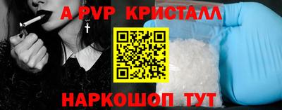 apvp Кингисепп